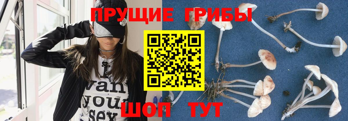 цены   Псилоцибиновые грибы мицелий  Вход с VPN  Соликамск 