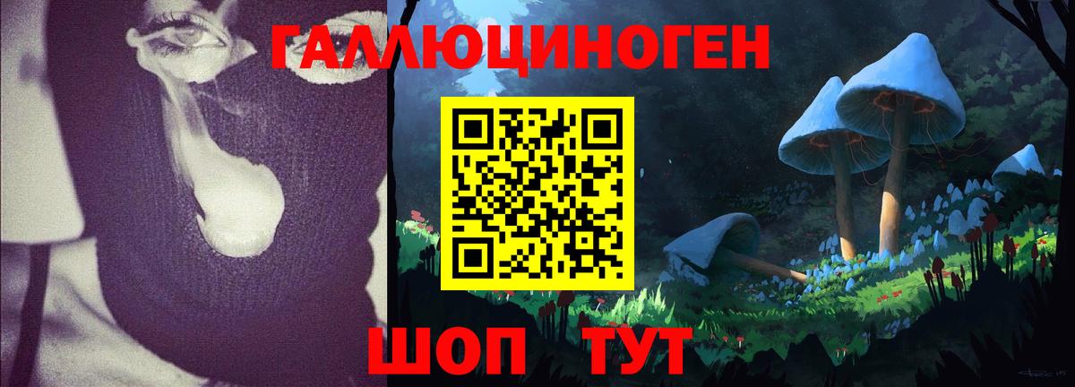 Галлюциногенные грибы GOLDEN TEACHER Соликамск